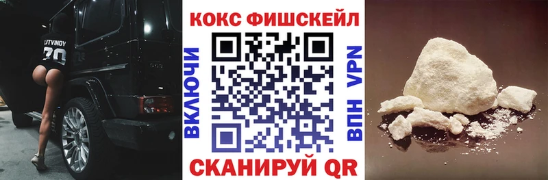 Купить закладки  Мосальск  Cocaine VHQ 