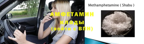 прущие грибы Снежногорск