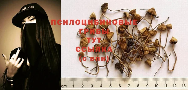 амф Инта