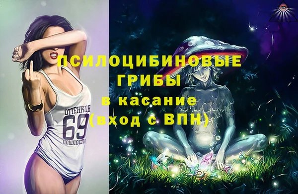 амф Инта