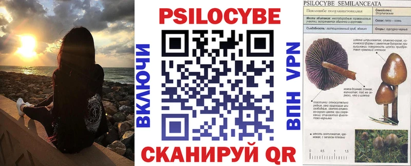 Псилоцибиновые грибы Cubensis  Купить  Мосальск 